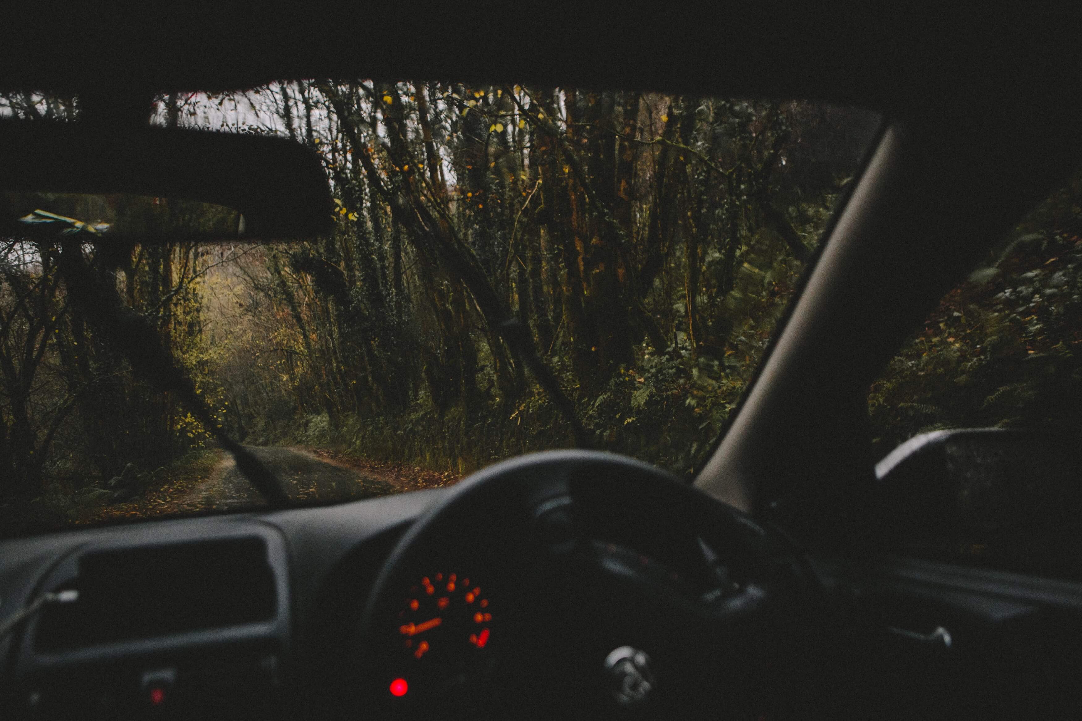 ¿Cómo y cuándo cambiar el limpiaparabrisas del coche?